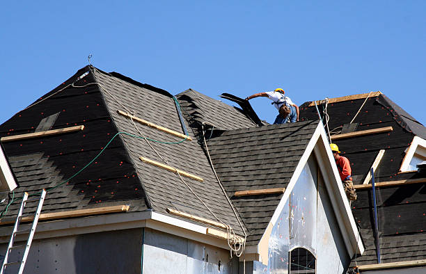 Roof Gutter Cleaning in Stafford Courthouse, VA